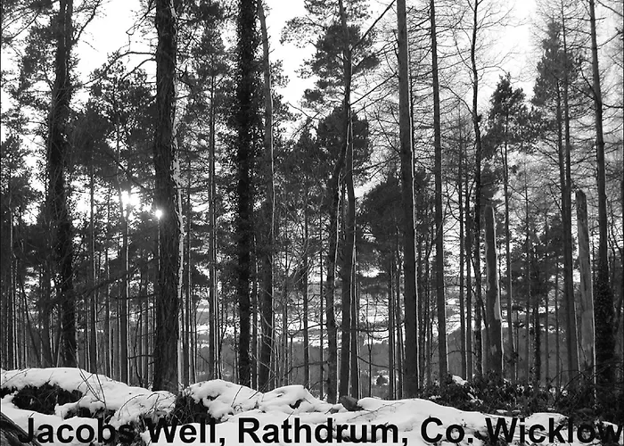 Jacob\'S Well Hotel